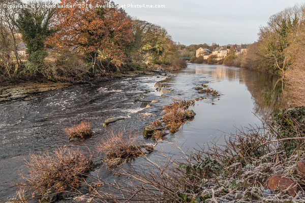 A Frosty Morning on the Tees at Barnard Castle Picture Board by Richard Laidler