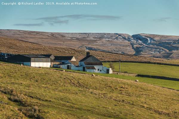 Ash Dub Farm, Upper Teesdale Picture Board by Richard Laidler