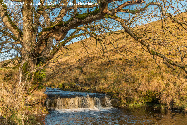 Cascade on Ettersgill Beck, Upper Teesdale  Picture Board by Richard Laidler