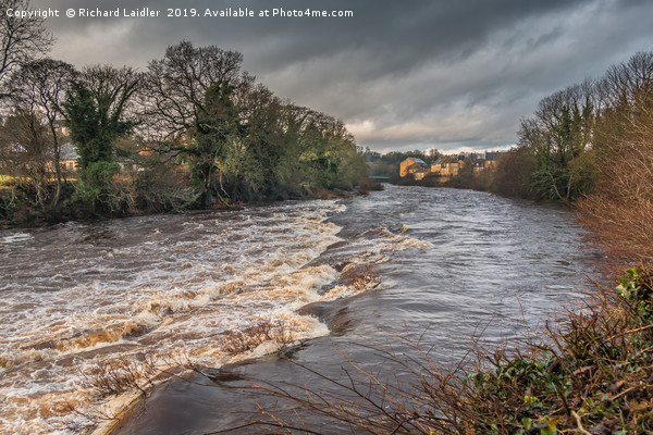 River Tees in Flood at Barnard Castle, Teesdale Picture Board by Richard Laidler