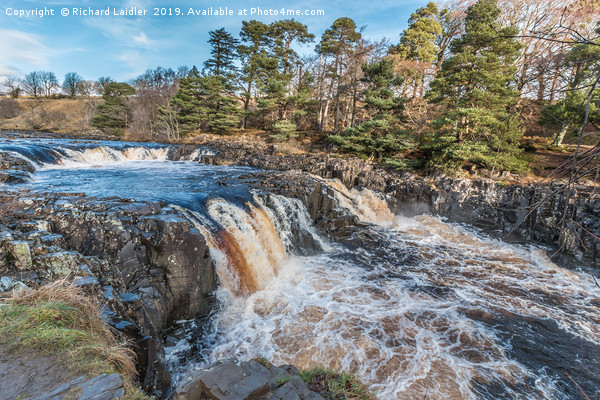 Winter Sun at Low Force Waterfall (2) Picture Board by Richard Laidler