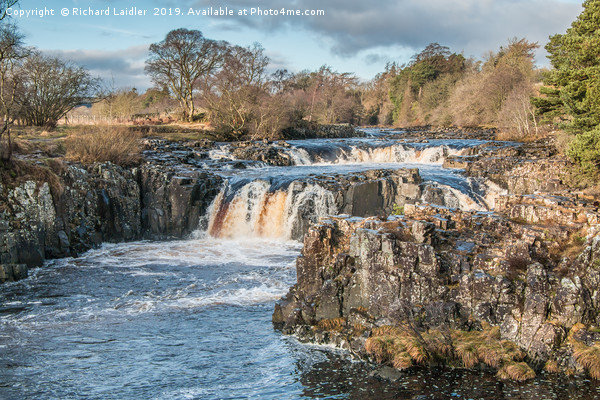 Winter Solstice at Low Force Waterfall Picture Board by Richard Laidler