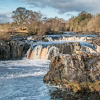 Buy canvas prints of Winter Solstice at Low Force Waterfall by Richard Laidler