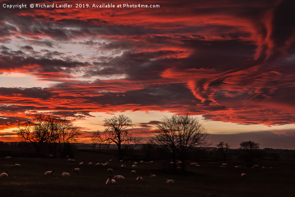 Hutton Magna Sunset, 29 December 2019 Picture Board by Richard Laidler