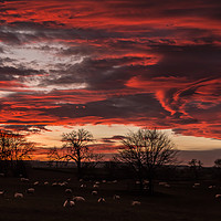 Buy canvas prints of Hutton Magna Sunset, 29 December 2019 by Richard Laidler