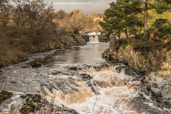 Winter Sun on Low Force Waterfall Teesdale (2) Picture Board by Richard Laidler