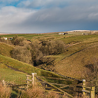 Buy canvas prints of Bank Top and Scar End Farms, Ettersgill, Teesdale by Richard Laidler