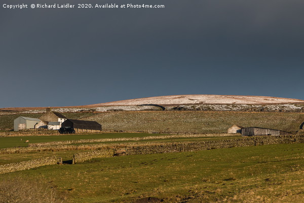 Scar End Farm, Teesdale Picture Board by Richard Laidler