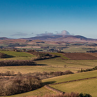 Buy canvas prints of The Cheviot, Northumberland by Richard Laidler