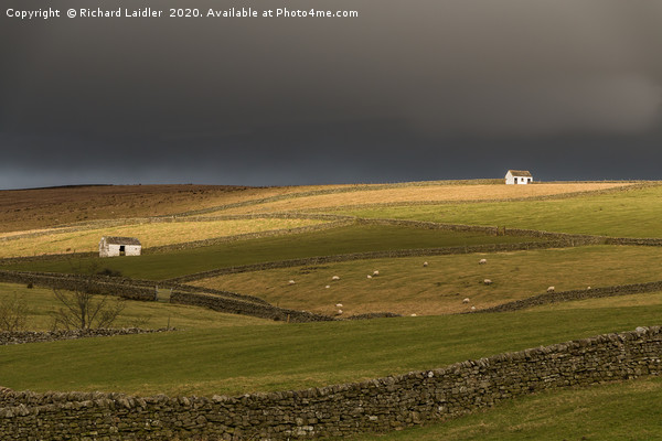 Winter Sun on Bowlees Barns, Teesdale Picture Board by Richard Laidler