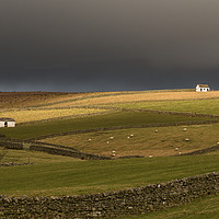 Buy canvas prints of Winter Sun on Bowlees Barns, Teesdale by Richard Laidler