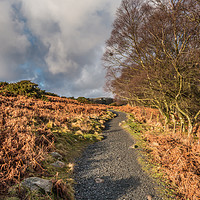 Buy canvas prints of Winter Sun on the Pennine Way near High Force by Richard Laidler