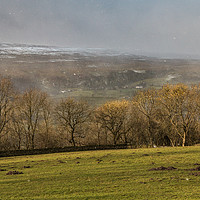 Buy canvas prints of Across to Holwick in Dramatic Light and Snowstorm by Richard Laidler