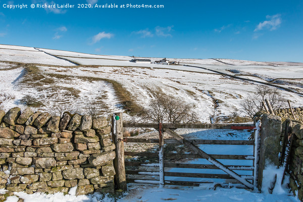 Ash Dub Farm, Teesdale, in Winter Picture Board by Richard Laidler