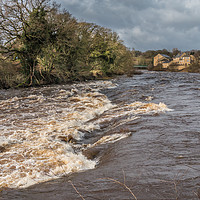 Buy canvas prints of A Swollen River Tees at Barnard Castle, Teesdale by Richard Laidler