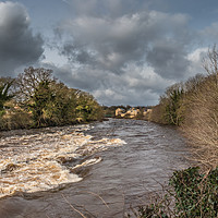 Buy canvas prints of The River Tees in Flood at Barnard Castle Teesdale by Richard Laidler