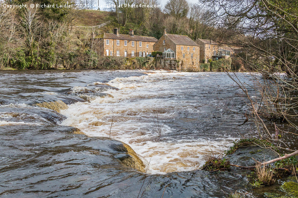 Demesnes Mill, Barnard Castle, Teesdale Picture Board by Richard Laidler