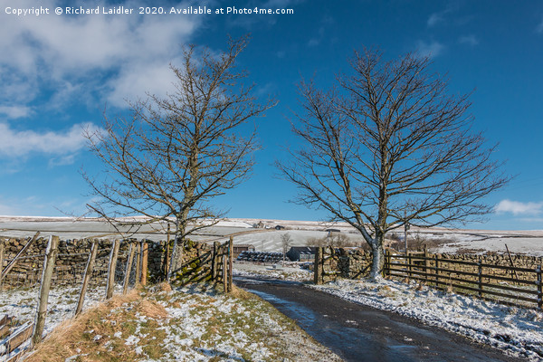 Towards Scar End, Ettersgill, Teesdale in Winter Picture Board by Richard Laidler