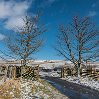 Buy canvas prints of Towards Scar End, Ettersgill, Teesdale in Winter by Richard Laidler