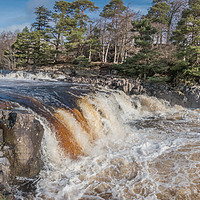 Buy canvas prints of Low Force Waterfall from the Pennine Way, Teesdale by Richard Laidler