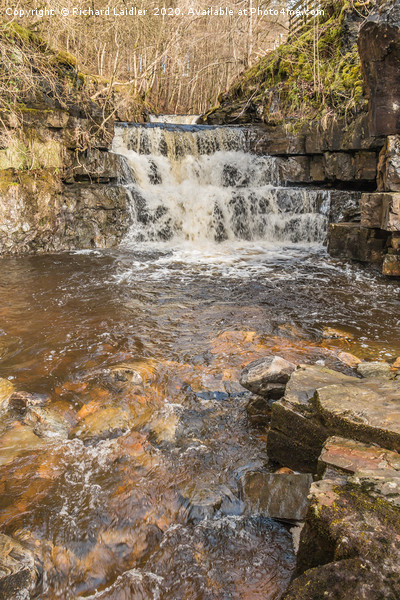 Waterfall on Bow Lee Beck, Teesdale Picture Board by Richard Laidler
