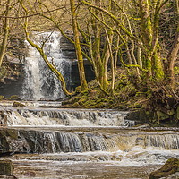 Buy canvas prints of Summerhill Force and Bow Lee Beck, Teesdale by Richard Laidler
