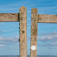 Buy canvas prints of Which Way? by Richard Laidler