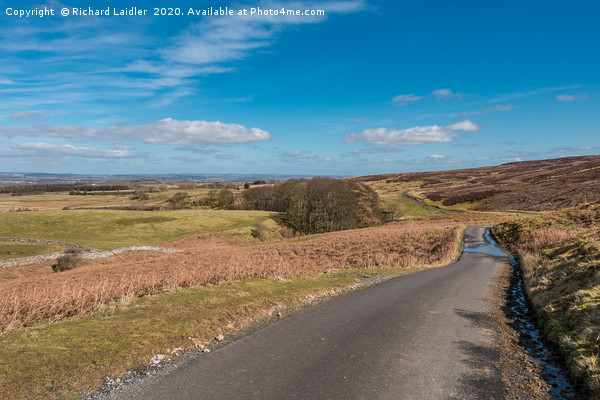 Barningham Moor, Early Spring Picture Board by Richard Laidler