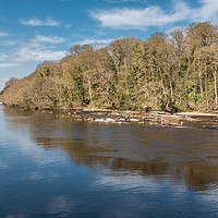 Buy canvas prints of Early Spring on the River Tees at Wycliffe by Richard Laidler