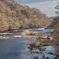 Buy canvas prints of The River Tees from Whorlton Bridge by Richard Laidler