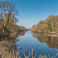 Buy canvas prints of The River Tees at Wycliffe, Teesdale, in Spring by Richard Laidler