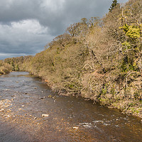 Buy canvas prints of The River Tees at Whorlton in Early Spring by Richard Laidler