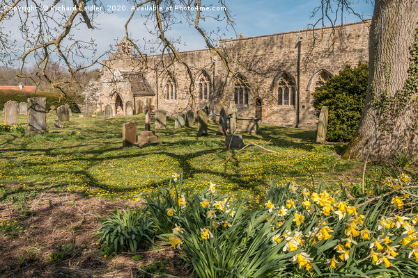 St Mary's Church, Wycliffe, Teesdale, in Spring Picture Board by Richard Laidler