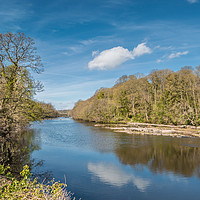 Buy canvas prints of The River Tees at Wycliffe in April Sunshine by Richard Laidler