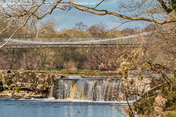 Whorlton Bridge and River Tees Cascade Picture Board by Richard Laidler