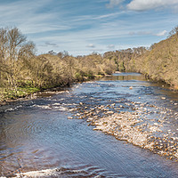 Buy canvas prints of The River Tees from Whorlton Bridge Panorama by Richard Laidler