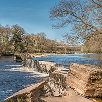 Buy canvas prints of The River Tees at Whorlton, Teesdale in Spring by Richard Laidler