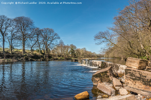 The River Tees at Whorlton, Teesdale, Panorama Picture Board by Richard Laidler