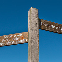 Buy canvas prints of Teesdale Way Signpost by Richard Laidler