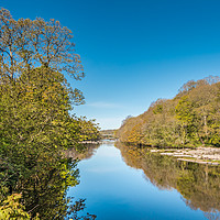Buy canvas prints of The River Tees at Wycliffe in Late April Sunshine by Richard Laidler