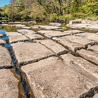 Buy canvas prints of Limestone Pavement at Whorlton Teesdale by Richard Laidler