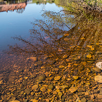 Buy canvas prints of Pebbles and Reflections, Whorlton, Teesdale by Richard Laidler