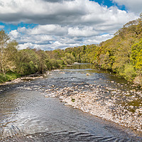Buy canvas prints of Spring Panorama on the River Tees at Whorlton  by Richard Laidler