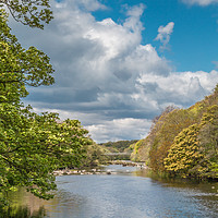 Buy canvas prints of Towards Whorlton Bridge from Wycliffe Teesdale by Richard Laidler