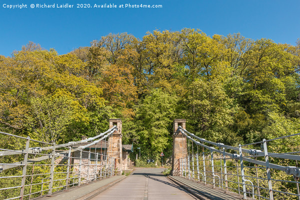 Whorlton Suspension Bridge and Woodland in Spring Picture Board by Richard Laidler
