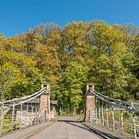 Buy canvas prints of Whorlton Suspension Bridge and Woodland in Spring by Richard Laidler