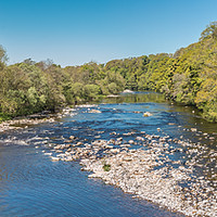 Buy canvas prints of The River Tees at Whorlton Spring Panorama by Richard Laidler