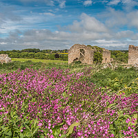 Buy canvas prints of Ruined Barns and Red Campion by Richard Laidler