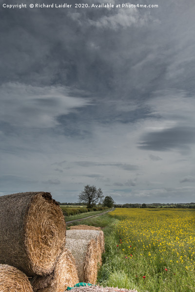 Big Bales and Big Sky Picture Board by Richard Laidler