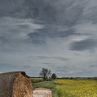 Buy canvas prints of Big Bales and Big Sky by Richard Laidler